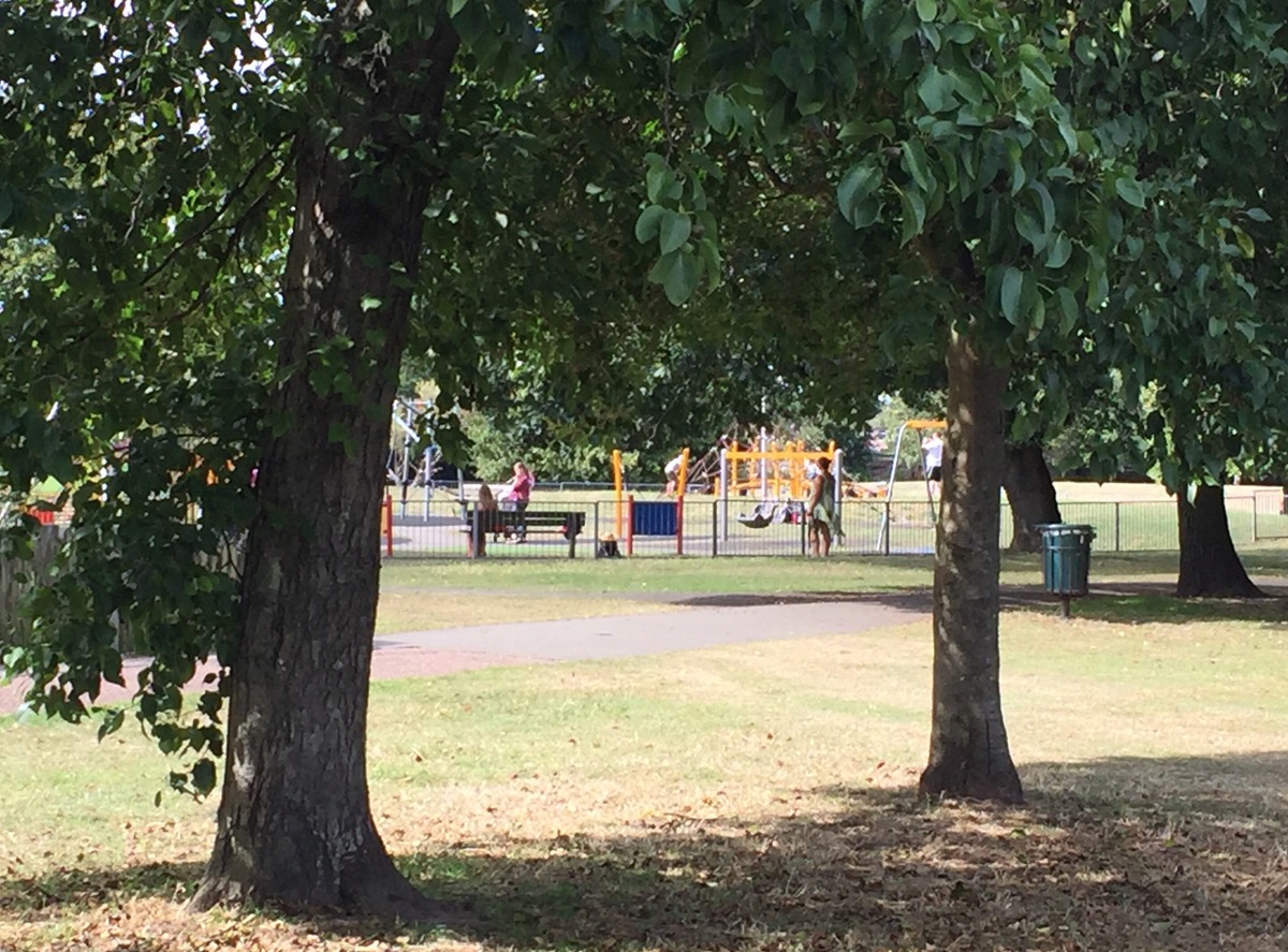 A view through the trees to the playground 